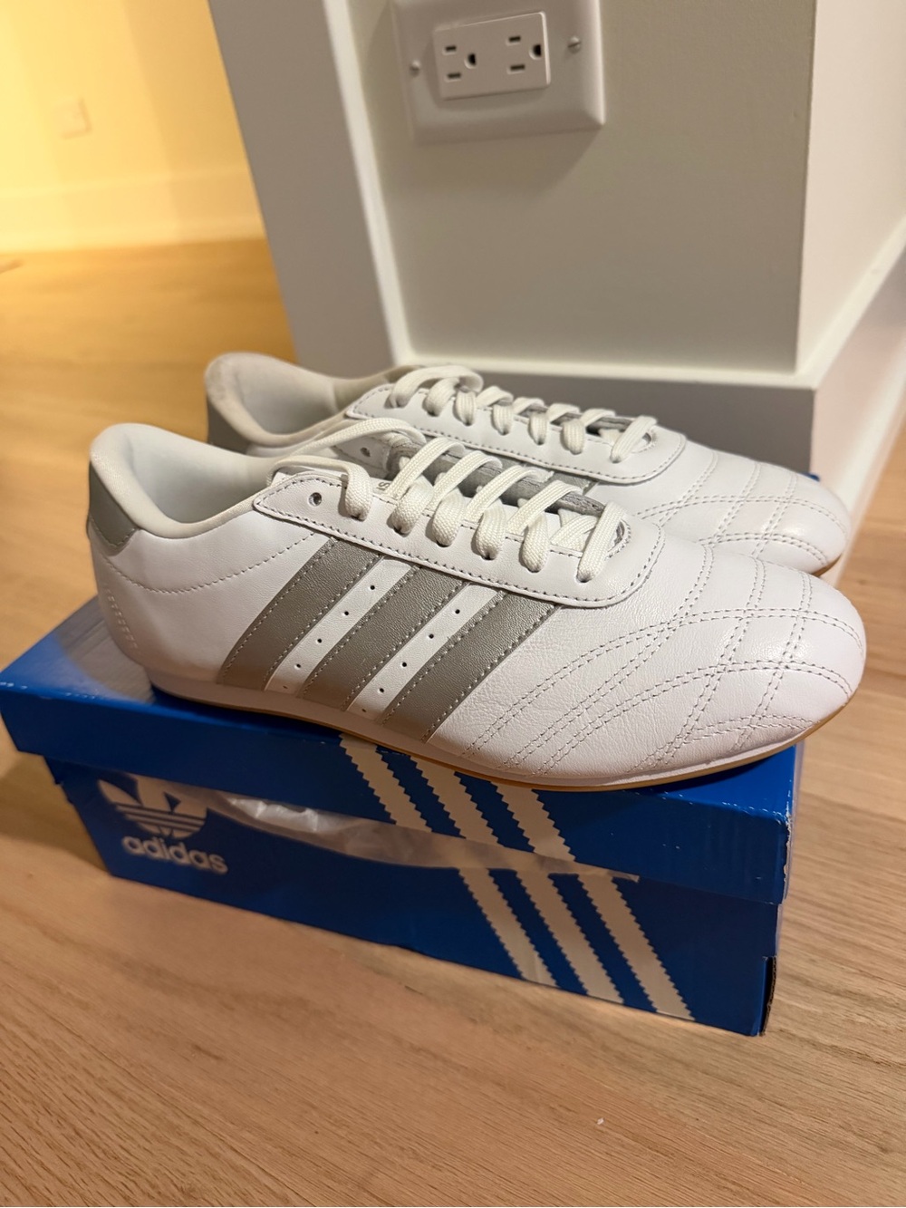 Adidas Taekwondo White and Silver Retro Sneaker